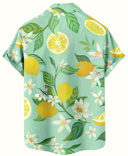 Men's Floral Bird Print Button-Down Shirt, Short Sleeve, White with Blue Pattern, Regular Fit
