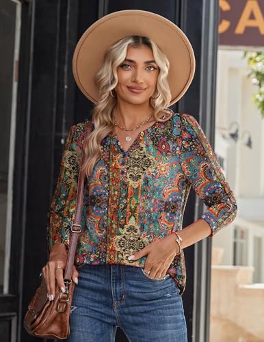 Long Sleeve Shirts for Women Casual V Neck Fall Tops Dressy Summer Work Blouses Clothes
